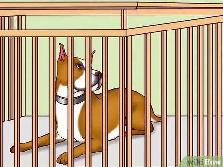 Imagen titulada Prevent Ringworm in Dogs Step 9