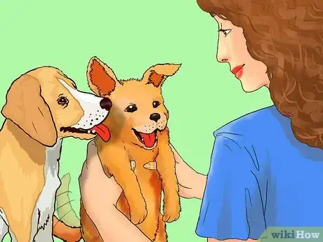 Imagen titulada Start a Dog Walking Service Step 2