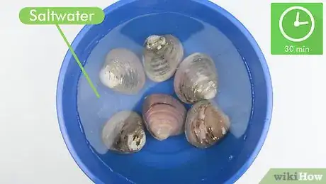 Imagen titulada Clean Clams Step 4