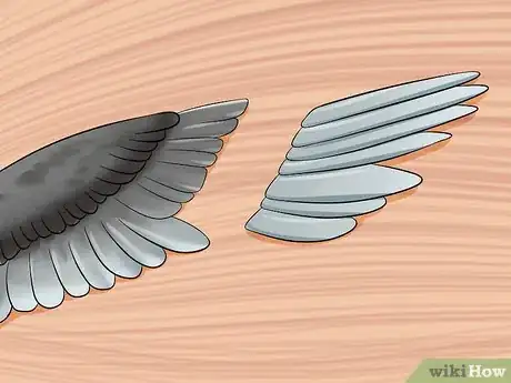 Imagen titulada Clip a Cockatiel's Flier Feathers Step 8