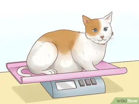 Imagen titulada Count Calories in Your Cat's Food Step 11