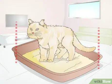 Imagen titulada Keep a Cat from Kicking the Litter out of the Litterbox Step 5