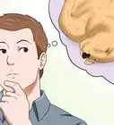 reconocer una apoplejía en un perro