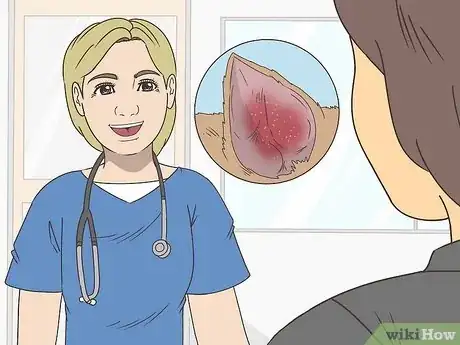 Imagen titulada Treat Aural Hematomas in Dogs Step 1