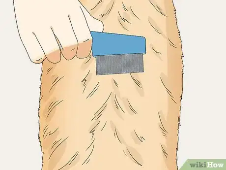 Imagen titulada Prevent Flea Bites Step 16