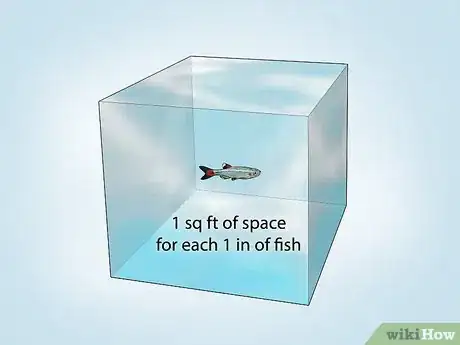 Imagen titulada Build Your Own Fishing Pond Step 1