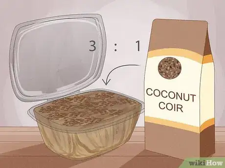 Imagen titulada Grow Microgreens Step 7