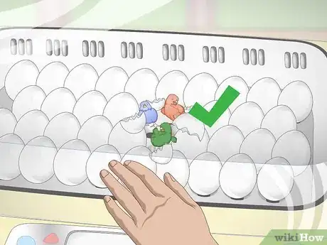 Imagen titulada Color Chickens Step 9