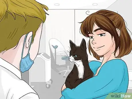 Imagen titulada Stop an Older Cat from Attacking a Kitten Step 1