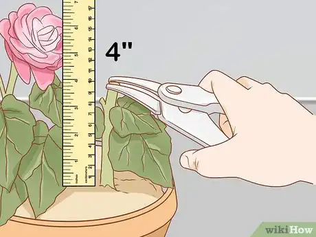 Imagen titulada Prune Begonias Step 4