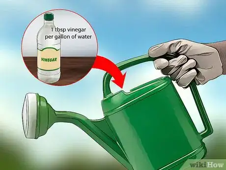 Imagen titulada Lower the pH of Water Step 7