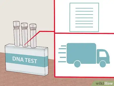 Imagen titulada Collect DNA Step 7