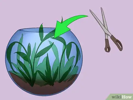 Imagen titulada Build a Self Sustaining Ecosystem Step 18