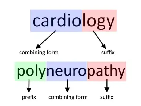 Imagen titulada Understand_Medical_Terminolgy_Step_2.png