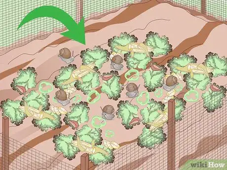 Imagen titulada Snail Farm Step 14