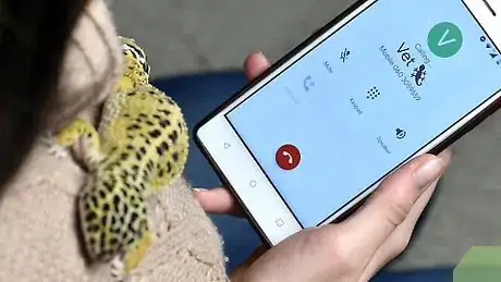 Imagen titulada Take Care of a Leopard Gecko That Won't Eat Step 8