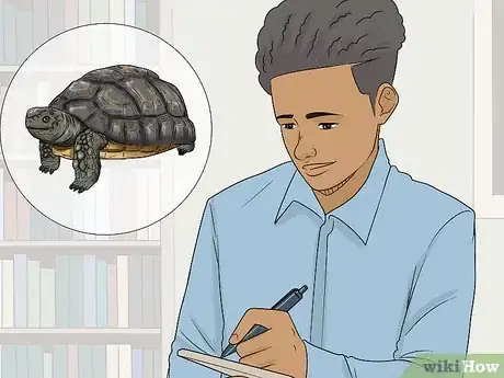 Imagen titulada Tell the Age of a Tortoise Step 12