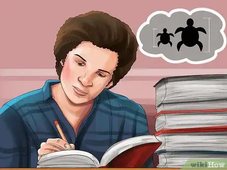 Imagen titulada Tell a Turtle's Age Step 5