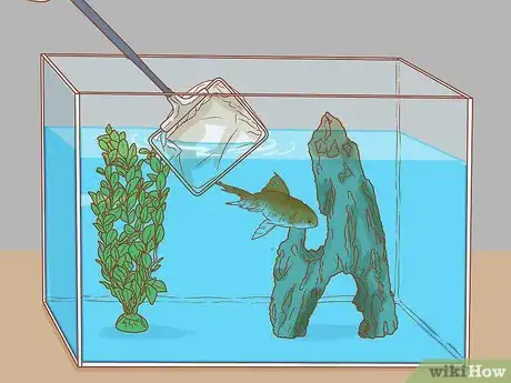 Imagen titulada Sanitize a Fish Tank Step 14
