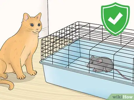 Imagen titulada Care for an Injured Pet Mouse Step 11