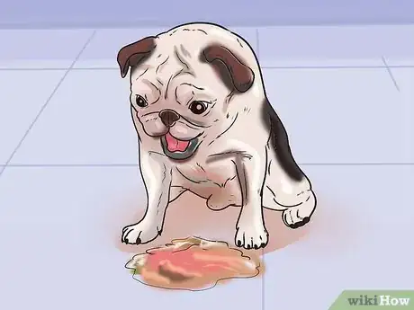 Imagen titulada Prevent Parvovirus in Dogs Step 9