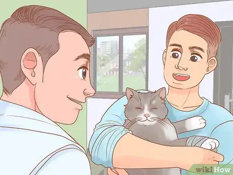 Imagen titulada Treat Fight Wounds on a Cat Step 8