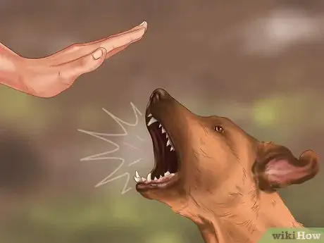 Imagen titulada Discipline Your Puppy Step 1