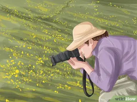 Imagen titulada Become a Nature Photographer Step 22