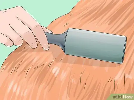 Imagen titulada Manage Postpartum Shedding in Dogs Step 9