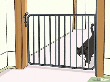 Imagen titulada Stop an Older Cat from Attacking a Kitten Step 3
