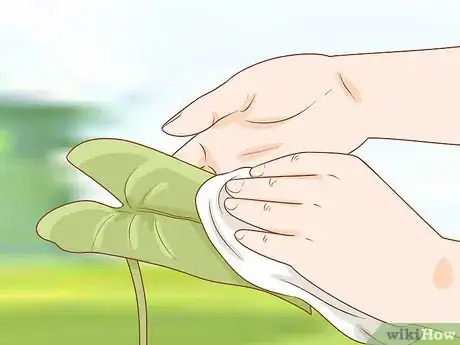 Imagen titulada Get Rid of Powdery Mildew on Plants Step 9