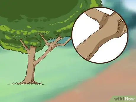 Imagen titulada Make a Squirrel Feeder Step 6