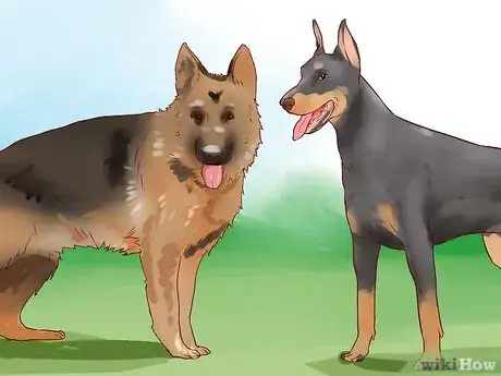 Imagen titulada Train a Guard Dog Step 2