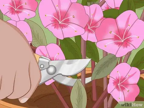 Imagen titulada Plant Azaleas Step 10