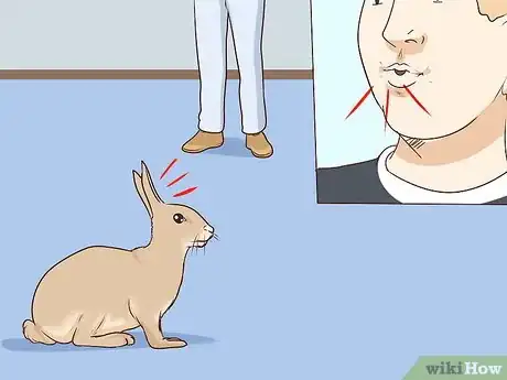Imagen titulada Pet a Rabbit Step 1