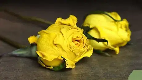 Imagen titulada Preserve Roses in Resin Step 7
