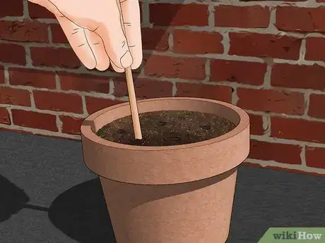 Imagen titulada Take Cuttings Step 11