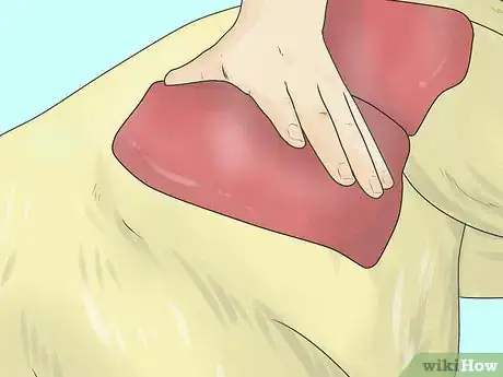 Imagen titulada Relieve Hip Pain in Dogs Step 14