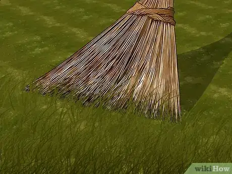 Imagen titulada Care for Burned Grass Step 2