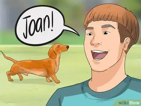 Imagen titulada Train Your Dog to Use a Dog Door Step 6