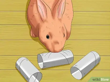 Imagen titulada Train a Rabbit to Stop Chewing Carpet Step 7