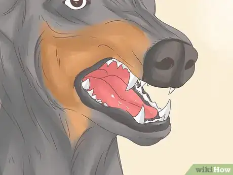Imagen titulada Understand Your Dog's Body Language Step 11