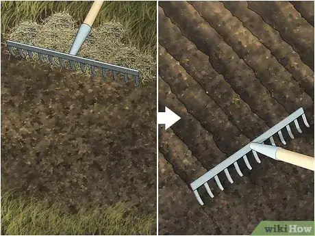 Imagen titulada Care for Burned Grass Step 4