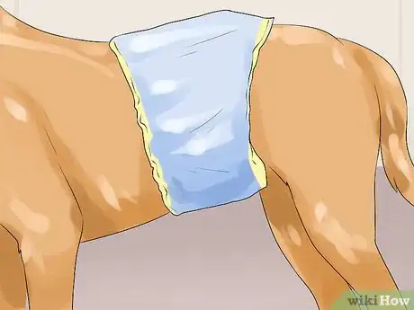 Imagen titulada Determine Whether to Diaper a Senior Dog Step 14