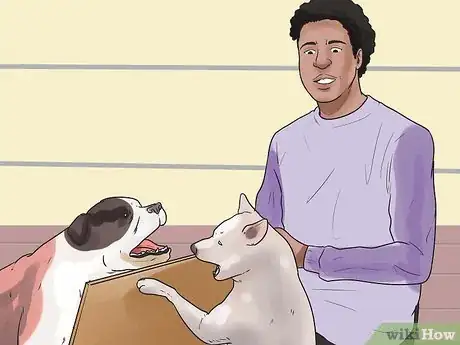 Imagen titulada Support Your Animal After a Horrible Dog or Cat Fight Step 1