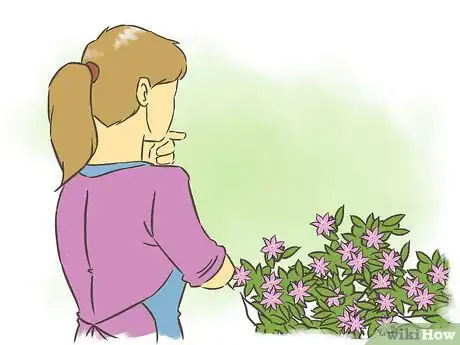 Imagen titulada Prune Clematis Step 6