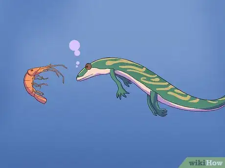Imagen titulada Feed a Salamander Step 2
