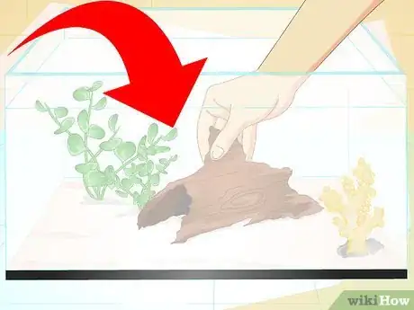 Imagen titulada Make a 5 Gallon Aquarium Interesting Step 16