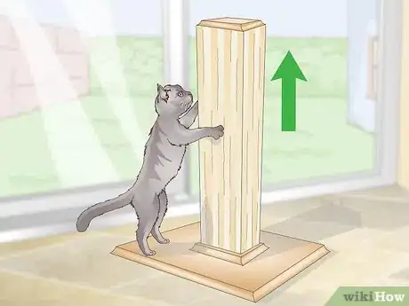 Imagen titulada Stop a Cat from Scratching the Couch Step 3
