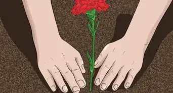 plantar claveles
